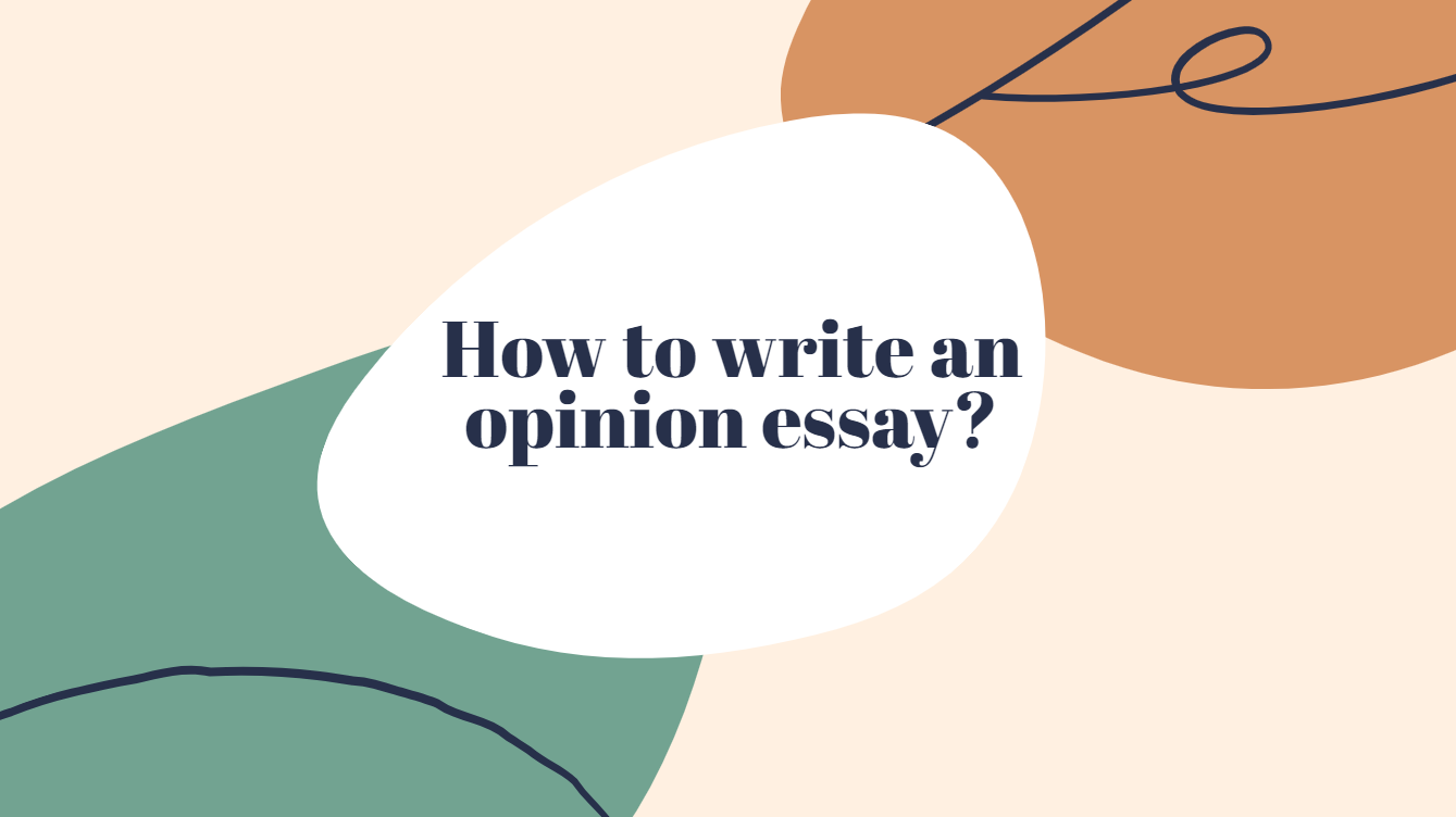 an opinion essay example