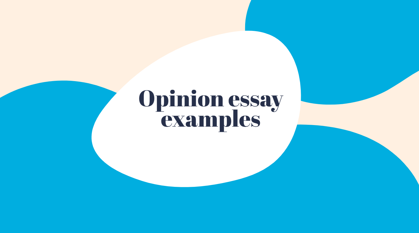 general purpose of opinion essay